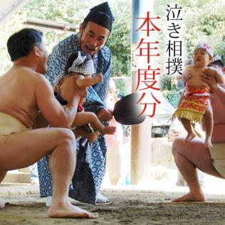 泣き相撲　令和7年度お申し込み (令和7年9月14日(日)開催)