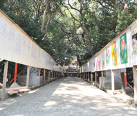 表参道