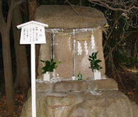 土社