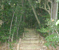 裏参道